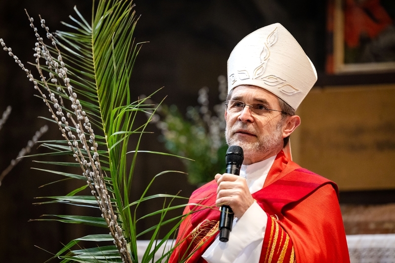 Erzbischof Josef Grünwidl predigt am Palmsonntag
